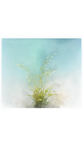 aquatic plant,aquatic plants,underwater background,aquatic herb,sea arrowgrass,water plants,ocean background,underwater landscape,sundew,tropical floral background,beach grass,freshwater aquarium,sea lettuce,hornwort,sea carnations,seaweed,dandelion background,seaweeds,spring leaf background,mermaid background,Conceptual Art,Fantasy,Fantasy 05