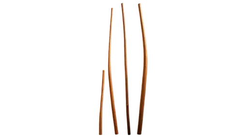 enoki,matchstick,copper utensils,decorative arrows,bokken,longbows,cello bow,matchsticks,hand draw vector arrows,palm leaf,cosmetic brush,wooden pencils,bamboo,baton,brass chopsticks vegetables,wooden sticks,gyuto,incense stick,chop sticks,stirrers,Illustration,Retro,Retro 20