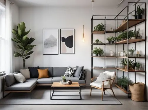 house plants,modern decor,houseplants,houseplant,scandinavian style,apartment lounge,contemporary decor,hanging plants,shared apartment,living room,an apartment,interior design,livingroom,modern minimalist lounge,home corner,apartment,ikebana,danish furniture,modern room,home interior,Photography,Fashion Photography,Fashion Photography 12