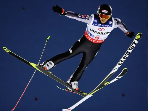 nordic combined,ski jumping,ski cross,biathlon,alpine skiing,cross-country skier,nordic skiing,rosa khutor,ski pole,ski race,speed skiing,ski jump,cross-country skiing,monoski,piste,downhill ski binding,keslowski,ski binding,speed skating,telemark skiing,Illustration,Black and White,Black and White 09