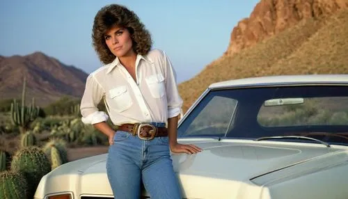 lincoln capri,amc eagle,roadrunner,buick electra,amc javelin,farrah fawcett,pontiac ventura,buick y-job,buick century,desert rose,hillman minx,studebaker avanti,hood ornament,amc concord,buick regal,ford maverick,bmw e9,oldsmobile 442,subaru brat,girl and car,Art,Artistic Painting,Artistic Painting 32