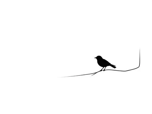 a black bird sitting on top of a stick,bird on branch,crow in silhouette,tightrope walker,birds on a wire,mouse silhouette,forktail,Design Sketch,Design Sketch,Rough Outline