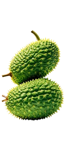 cactus apples,nopal,cardamon pods,feijoa,chile fir,spruce cones,pitahaya,kaki fruit,pitahaja,pine nut,fouquieria,fir branch,pine nuts,acorns,pods,chayote,fruit,cactus digital background,soursop,hardy kiwi,Conceptual Art,Daily,Daily 15