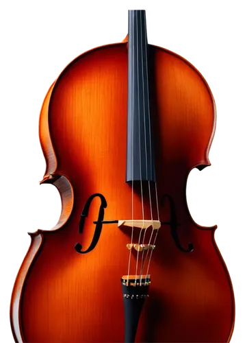 Cello, wooden instrument, brown varnish, strings, tuning pegs, neck, body, F-holes, solo, spotlight, warm lighting, shallow depth of field, close-up, 3/4 composition, realistic texture, detailed wood 