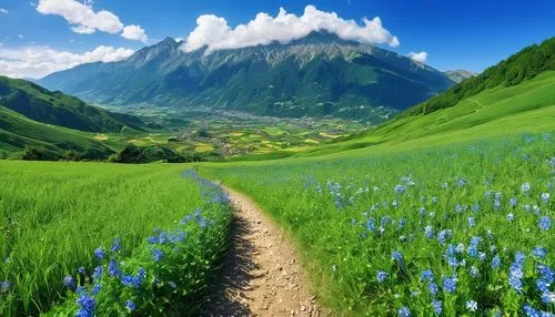 the valley of flowers,alpine meadow,mountain meadow,meadow landscape,landscape background,background view nature,mountainous landscape,beautiful landscape,mountain landscape,japanese alps,alpine meadows,nature landscape,aaa,mountain scene,the natural scenery,natural scenery,hiking path,mountain pasture,alpine pastures,flower field,Photography,General,Realistic