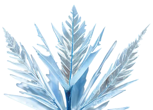 snowflake background,blue snowflake,ice crystal,crystalize,winter background,crystalized,crystalline,christmas snowflake banner,ice wall,frostiness,frost,christmas snowy background,deepfreeze,crystallization,crystallize,ice planet,hoarfrost,snow crystals,christmasbackground,ice,Illustration,Realistic Fantasy,Realistic Fantasy 26