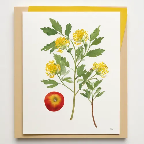 Create an image without the object,floral greeting card,yellow beets,loosestrife and pomegranate family,chrysanthemum cherry,helichrysum,flower illustration,hypericum,blossoming apple tree,blossom gol