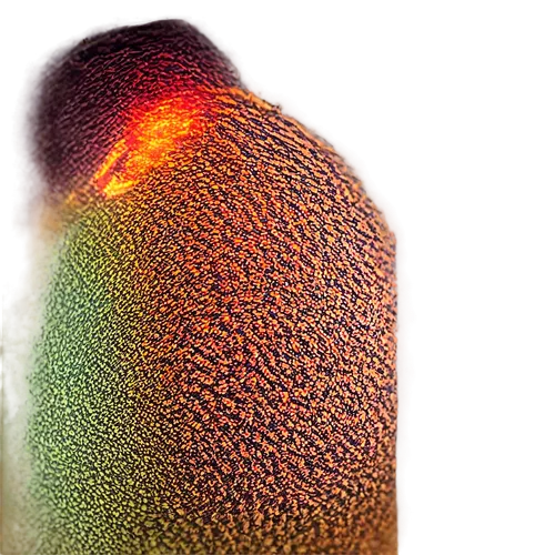 sporangium,strombolian,xanthorrhoea,pseudopods,epidermis,pylori,epidermal,anomeritis,microvascular,hypercholesterolemia,puccinia,ciliated,microvilli,mushroom coral,microhyla,paramecium,nepenthaceae,subcellular,phloem,notochord,Conceptual Art,Daily,Daily 02