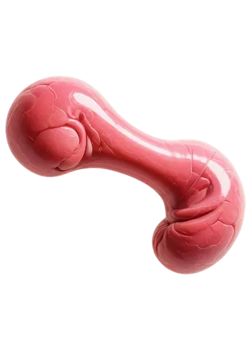 epididymis,flagella,endometrial,fallopian,menorrhagia,uteruses,uteri,spermatogenesis,embryogenesis,spermatozoa,azoospermia,embryological,duodenum,tamponade,spermatogonia,uterine,goo,spermatozoon,embryo,homoeosoma,Illustration,Paper based,Paper Based 07