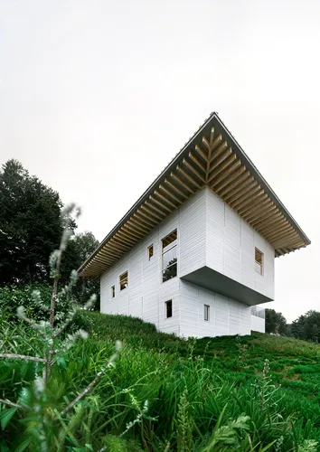 javanese traditional house,vignetting,tomsen,longhouse,asian architecture,ginkaku-ji temple