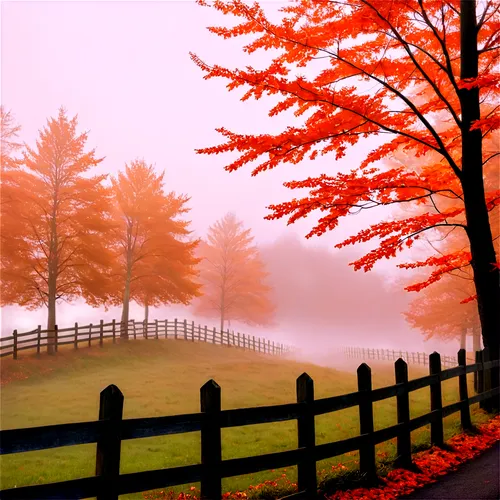 autumn fog,foggy landscape,autumn background,fall landscape,autumn scenery,autumn landscape,autumn morning,landscape background,autumn frame,autumn day,autumn idyll,one autumn afternoon,autumn forest,morning mist,autumn,late autumn,the autumn,landscape red,just autumn,background vector,Photography,Black and white photography,Black and White Photography 10