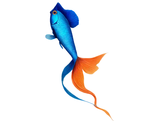 blue fish,fish,blue stripe fish,fairy wrasse,small fish,blue devils shrimp,mermaid vectors,fish pen,foxface fish,merfolk,the fish,surface lure,bony-fish,wrasse,fish wind sock,dolphin fish,two fish,marine fish,merman,beautiful fish,Illustration,Realistic Fantasy,Realistic Fantasy 11