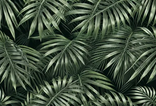 tropical leaf pattern,palm leaves,foliage,foliage leaves,tropical greens,green wallpaper,green foliage,jungle drum leaves,tropical leaf,palm branches,palm pasture,oleaceae,cycad,palm field,green plants,jungle leaf,palm fronds,the foliage,palms,tropical floral background