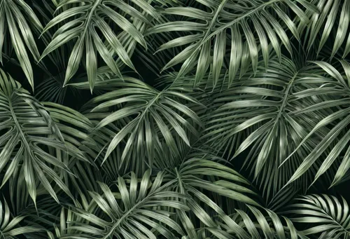 tropical leaf pattern,palm leaves,foliage,foliage leaves,tropical greens,green wallpaper,green foliage,jungle drum leaves,tropical leaf,palm branches,palm pasture,oleaceae,cycad,palm field,green plant