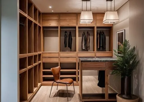 walk-in closet,cabinetry,dark cabinetry,mudroom,minotti,wardrobes,pantry,cabinets,bookcases,storage cabinet,cupboards,cabinetmaker,cupboard,closets,contemporary decor,cabinetmakers,wood casework,dumbwaiter,search interior solutions,bookshelves,Photography,General,Natural