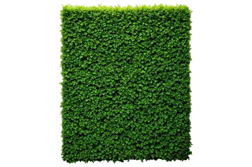 block of grass,green wallpaper,artificial grass,microalgae,wall,green border,green electricity,astroturf,aaaa,aaa,chlorophyll,nettled,brick grass,green plant,green background,green power,greenhut,greentech,green energy,greeniaus,Illustration,Japanese style,Japanese Style 10