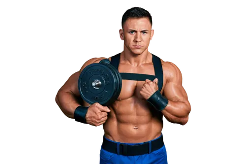 kettlebell,kettlebells,bodybuilding supplement,muscle icon,bodypump,body building,biceps curl,dumbbells,dumbell,pair of dumbbells,rotator cuff,dumbbell,anabolic,fitnes,bodybuilding,upper body,fitness and figure competition,fitness professional,fitness coach,personal trainer,Illustration,Realistic Fantasy,Realistic Fantasy 12