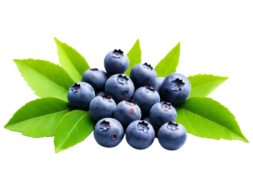 Blueberry fruit, still life, detailed texture, shiny surface, juicy pulp, green leaves, wooden table, natural lighting, 3/4 composition, soft focus, warm color tone, cinematic ambiance.,blueberries on