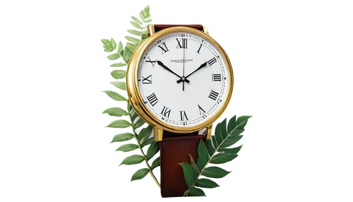 laurel clock vine,chronometer,toast skagen,men's watch,male watch,vintage watch,oltimer,mechanical watch,bengal clock vine,bengal clockvine,wrist watch,timepiece,wall clock,quartz clock,wristwatch,grandfather clock,swatch watch,open-face watch,gold watch,four o'clock flower,Photography,Artistic Photography,Artistic Photography 02