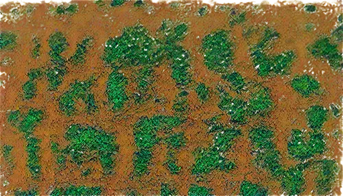 generated,geoglyphs,landcover,fruit fields,furrows,landfilling,hedge,coniferous forest,tree texture,agroforestry,landgravine,bushes,cypresses,forests,seamless texture,potato field,barrens,collineation,afforestation,furrow,Conceptual Art,Daily,Daily 32