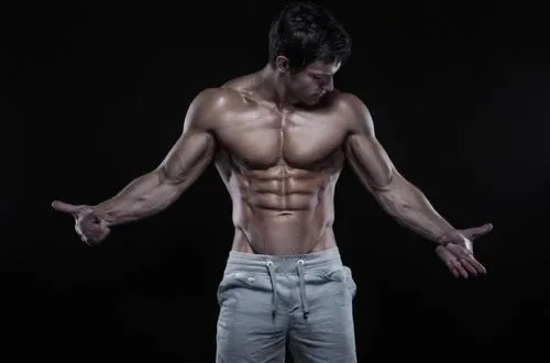 obliques,abdominals,clenbuterol,serratus,physiques,six pack abs,shredded,body building,trenbolone,plitt,musculature,ripped,muscadelle,sixpack,midsections,muscularity,anabolic,male ballet dancer,bodybu