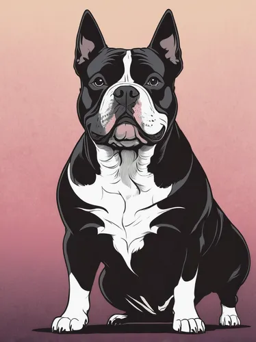 Transform your life with a loving American Bully. Buy one today.,dog illustration,olde english bulldogge,the french bulldog,boston terrier,french bulldog,dwarf bulldog,continental bulldog,renascence b