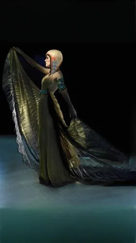 black macaws sari,mourning swan,queen of the night,miss circassian,flamenco,fantasia,cloak,harpy,cinderella,caped,ballerina,the snow queen,tilda,drape,elsa,angel playing the harp,shawl,pointe shoe,fly