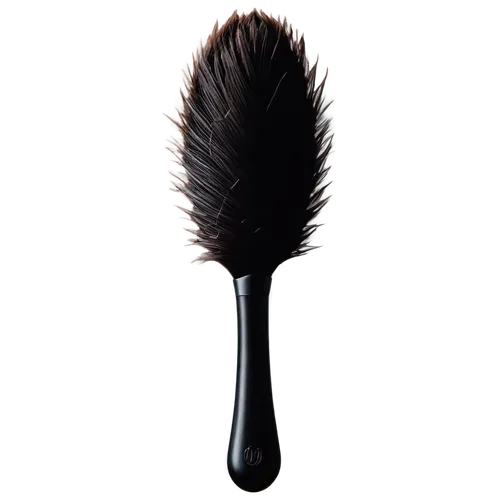 cosmetic brush,black feather,dish brush,makeup brush,hair brush,natural brush,brush,paintbrush,toilet brush,artist brush,bristles,hairbrush,prince of wales feathers,paint brush,makeup brushes,brushes,paint brushes,combs,ostrich feather,brooms,Illustration,Paper based,Paper Based 15