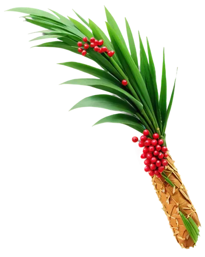 pine flower,fir tree decorations,pine tree branch,pine branch,palm tree vector,fir branch,christmas flower,pine cone ornament,pineapple background,red pine,spruce needles,pine needles,pine tree,cupressaceae,christmas background,spruce cones,pineios,palmtree,christmasbackground,palm leaf,Illustration,Abstract Fantasy,Abstract Fantasy 20