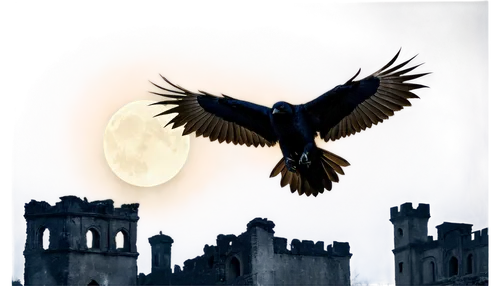 ravenloft,castle of the corvin,eyrie,ravenclaw,ravenscrag,king of the ravens,nocturnal bird,ravens,dusk background,raven bird,birds of prey-night,night bird,black raven,calling raven,corvus,moon and star background,ravenhead,ardfert,hanging moon,haunted castle,Conceptual Art,Daily,Daily 18