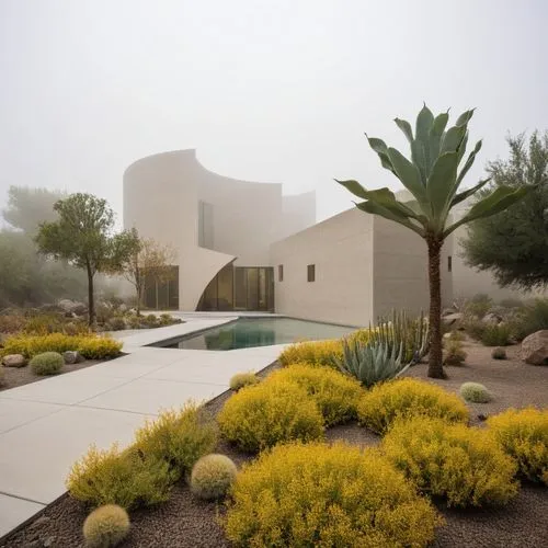 architectural photography realistic rendering of a yellow tint concrete building with travertine exterior floor and piet oudolf vegetation in an urban environment,a desert garden with yellow shrubs an