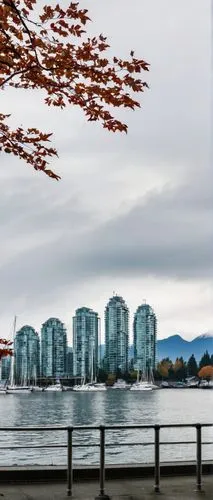 Vancouver BC, modern Canadian architecture, sleek glass skyscrapers, steel frames, angular shapes, rooftop gardens, urban landscape, misty mountains in the background, Granville Island, waterfront, se