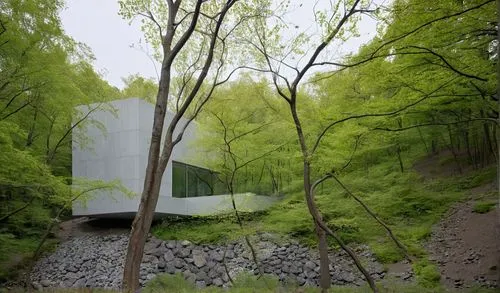 mirror house,forest house,bunshaft,house in the forest,safdie,glucksman,fallingwater,zumthor,forest chapel,cantilevered,snohetta,docomomo,archidaily,cubic house,wassaic,eisenman,hejduk,cantilevers,green trees with water,cube house,Photography,General,Realistic