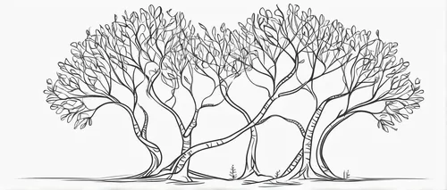 Create a story where the corkscrew willow is a symbol of resilience and strength.,birch tree illustration,the branches of the tree,branching,trees with stitching,hokka tree,the roots of the mangrove t