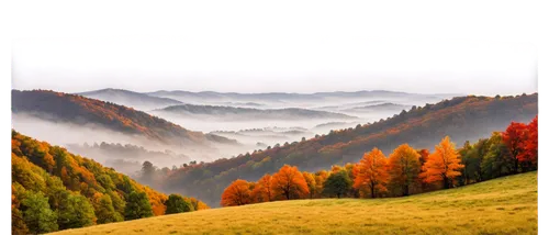 autumn mountains,carpathians,foggy landscape,autumn background,autumn fog,autumn landscape,landscape background,mountainous landscape,fall landscape,mountain landscape,northern black forest,beech mountains,autumn scenery,ore mountains,nature background,anana mountains,background view nature,planina,mountain scene,adygea,Conceptual Art,Daily,Daily 18