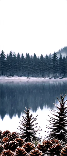 winter lake,forest lake,alpine lake,mountainlake,lake,pond,nature background,the lake,winter background,landscape background,wet lake,pine trees,mountain lake,glacial lake,waterscape,beautiful lake,high mountain lake,tarns,evening lake,fishlake,Art,Classical Oil Painting,Classical Oil Painting 34