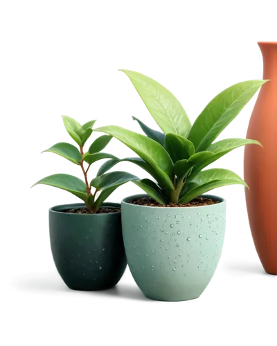 plant pots,plants in pots,terracotta flower pot,garden pot,plant pot,potted plants,flowerpots,flower pots,vases,flower vases,two-handled clay pot,house plants,funeral urns,wooden flower pot,androsace rattling pot,potted plant,clay jugs,flowerpot,flower pot,spring pot drive,Conceptual Art,Daily,Daily 14