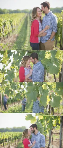 Niagara-Engagement-Photographer-Engagement-Session-Vineyard-Farm-Fields-Beth-Dan-photography-by-Eva-Derrick-Photography-020.JPG,passion vines,grapevines,vineyard,castle vineyard,grape vines,the vine,v