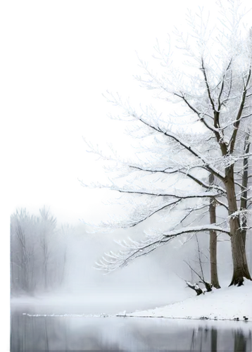 winter tree,snow tree,snowy tree,winter background,snow trees,winter landscape,isolated tree,snow landscape,tree white,winter dream,winter forest,treemsnow,snowflake background,winter magic,snow scene,hoarfrost,snowy landscape,winterland,wintry,bare tree,Illustration,Abstract Fantasy,Abstract Fantasy 10