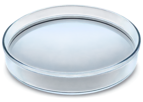 magnifier glass,contact lens,baking pan,flavoring dishes,cupcake pan,magnifying lens,aluminium rim,homebutton,round frame,light-alloy rim,saucer,alloy rim,glass container,cookware and bakeware,dishware,clear bowl,baking cup,thin-walled glass,magnifier,automotive piston,Illustration,Paper based,Paper Based 05