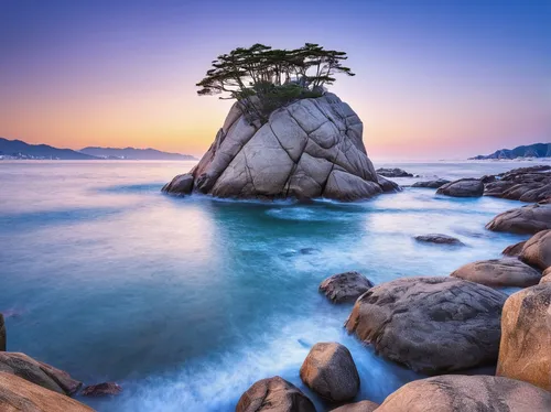 huangshan mountains,coastal landscape,huangshan maofeng,south korea,pebble beach,lone tree,landscape photography,isolated tree,rocky coast,rocky beach,carmel by the sea,natural scenery,japan landscape,monterey,pacific coastline,beach landscape,sea landscape,granite island,beautiful landscape,landscape background,Photography,Documentary Photography,Documentary Photography 24