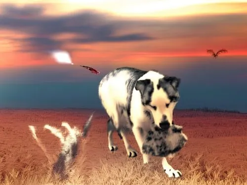 amstaf do full power,a dog chasing after a dead bird in a field,appaloosa,borzoi,great dane,muldaur,shadowfax,salatin