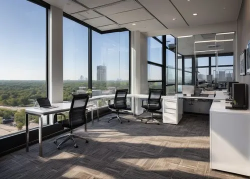 modern office,offices,furnished office,bridgepoint,penthouses,bobst,citicorp,bureaux,oticon,the observation deck,office,headoffice,serviced office,assay office,conference room,boardroom,tishman,regus,pc tower,highmark,Illustration,Realistic Fantasy,Realistic Fantasy 34