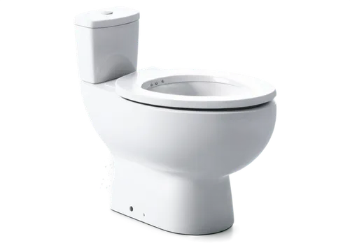 toilet,3d model,urinal,toilet seat,latrine,isolated product image,wc,loo,disabled toilet,defecate,potty,toiler,poo,commodes,urinate,3d object,urinary,maletti,adaptor,banyo,Photography,Fashion Photography,Fashion Photography 10