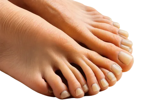 foot reflexology,foot model,chiropodist,podiatry,metatarsal,podiatrists,onychomycosis,neuroma,supination,toe,bunions,hindfeet,reflexology,venules,foot,podiatric,podiatrist,metatarsals,phlebitis,toenails,Illustration,Children,Children 03