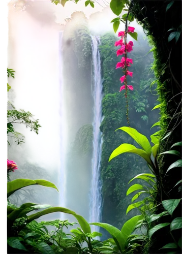 tropical forest,rain forest,waipio,rainforests,waterfall,tropical bloom,water fall,water falls,waterfalls,rainforest,brown waterfall,bridal veil fall,cascading,tropical jungle,green waterfall,nature background,water mist,arenal volcano,waterval,cascada,Conceptual Art,Fantasy,Fantasy 18