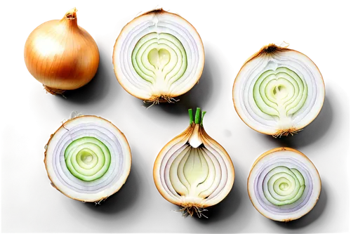 Cross-section onion, white background, detailed layers, circular shape, crunchy texture, translucent rings, green shoots, soft focus, shallow depth of field, warm lighting, 3/4 composition, high contr