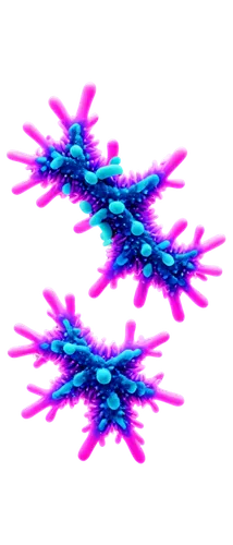 Telophase, cellular structure, colorful chromosomes, X-shaped, symmetrical, detailed microtubules, blurred background, microscopic view, high contrast, bright colors, 3D illustration style, dramatic l