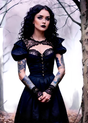 gothic woman,gothic dress,goth woman,gothic portrait,dark gothic mood,sirenia,rasputina,gothic style,gothic,victorian lady,gothicus,malefic,samhain,celtic queen,bellatrix,hecate,morwen,victoriana,abigaille,goth like,Conceptual Art,Oil color,Oil Color 25