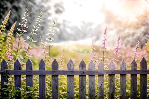 white picket fence,garden fence,fences,fence,wooden fence,the fence,wicker fence,fenceposts,fenceline,fence gate,fence posts,fenced,pasture fence,chain fence,background bokeh,railings,wood fence,unfenced,garden bench,fence element,Photography,General,Natural